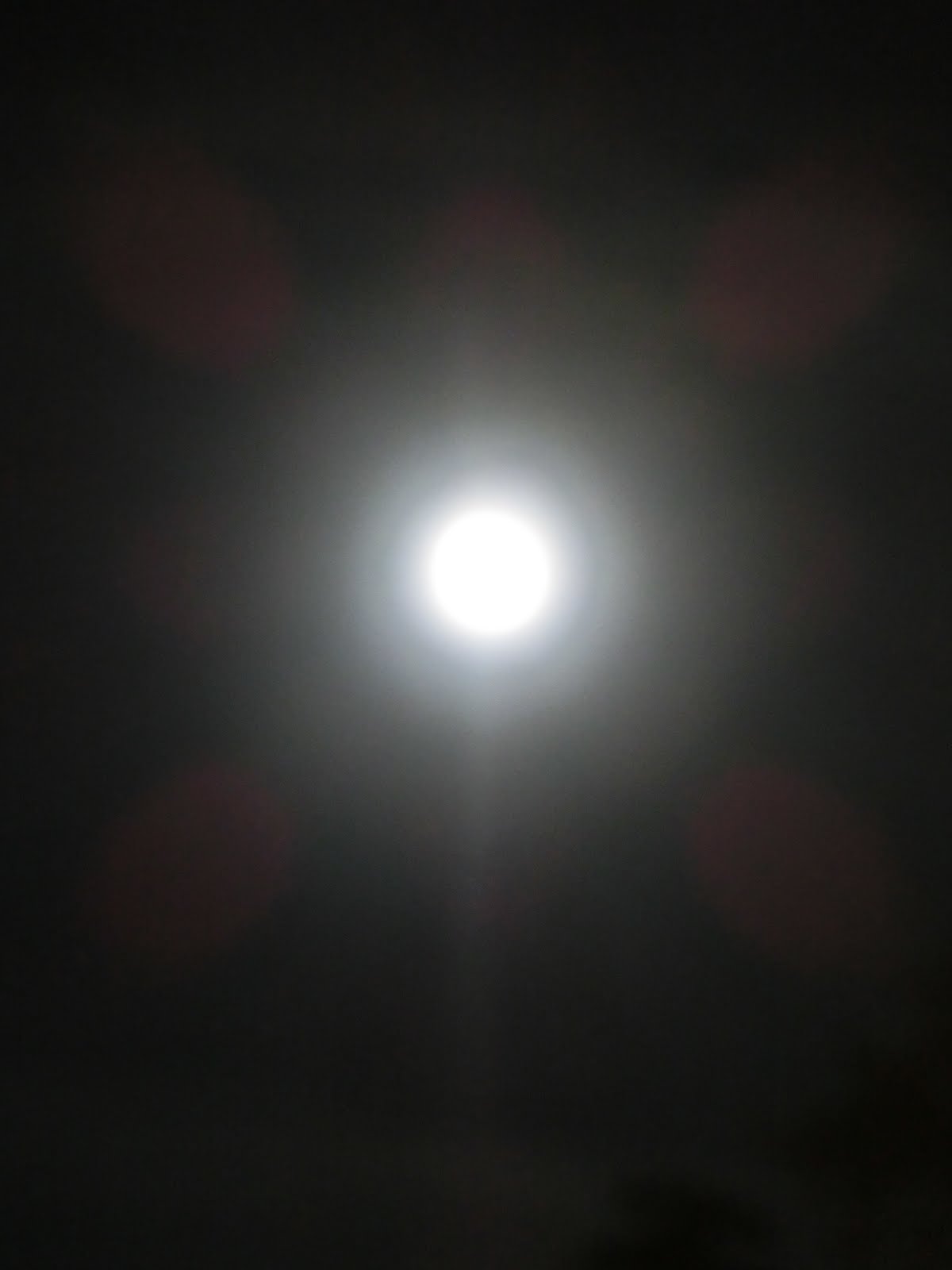 a0277094_19193843.jpg