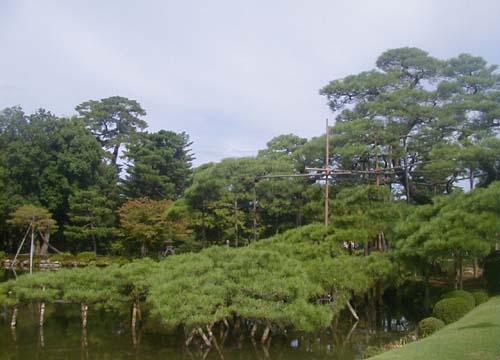 ●金沢にて、兼六園その４_d0053294_292892.jpg