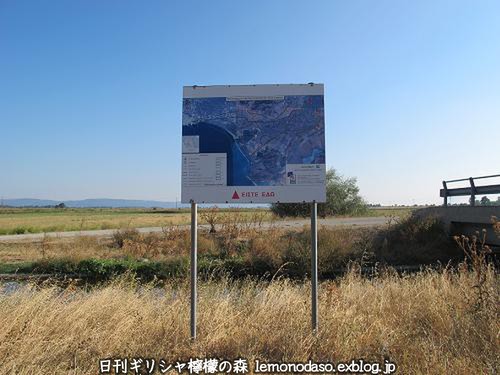 c0010496_31593.jpg