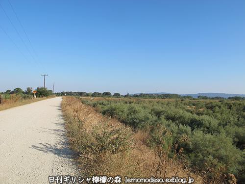 c0010496_344939.jpg