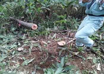 c0125996_16534477.jpg