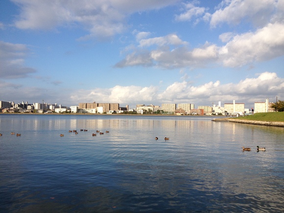 多々良川の風景 ぶらっと ひとり歩き 多々良川の風景 ぶらっと ひとり歩き