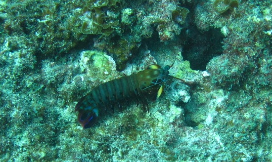 e0115199_13274515.jpg