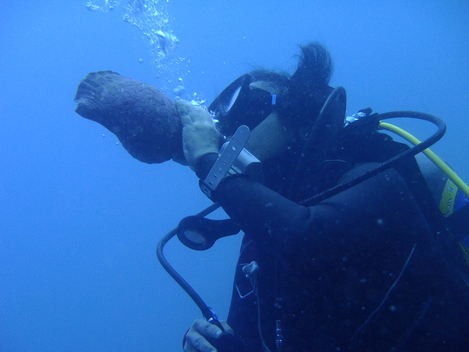 e0115199_1351285.jpg