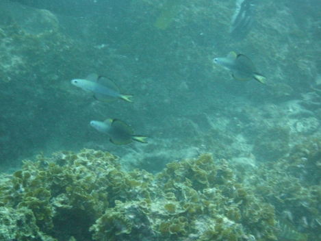 e0115199_13582977.jpg