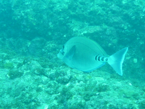 e0115199_15455568.jpg