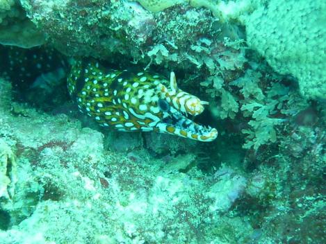 e0115199_15461293.jpg