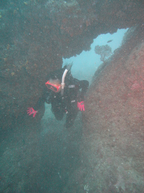 e0115199_1551286.jpg