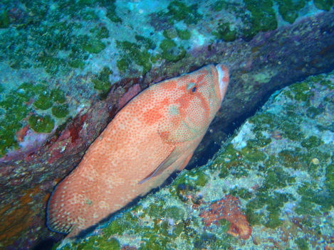 e0115199_1636386.jpg