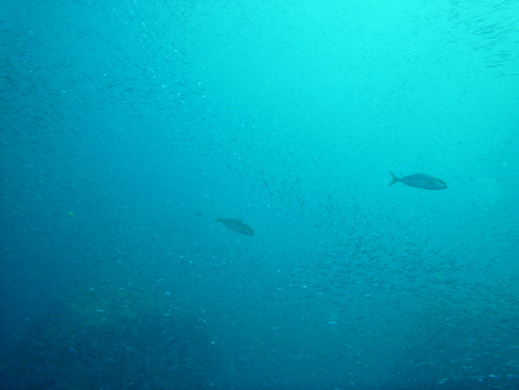 e0115199_16364244.jpg