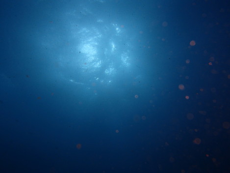 e0115199_18294996.jpg