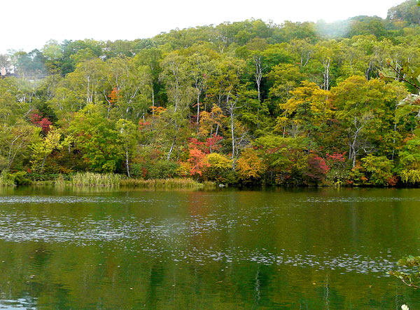 e0269400_20123761.jpg