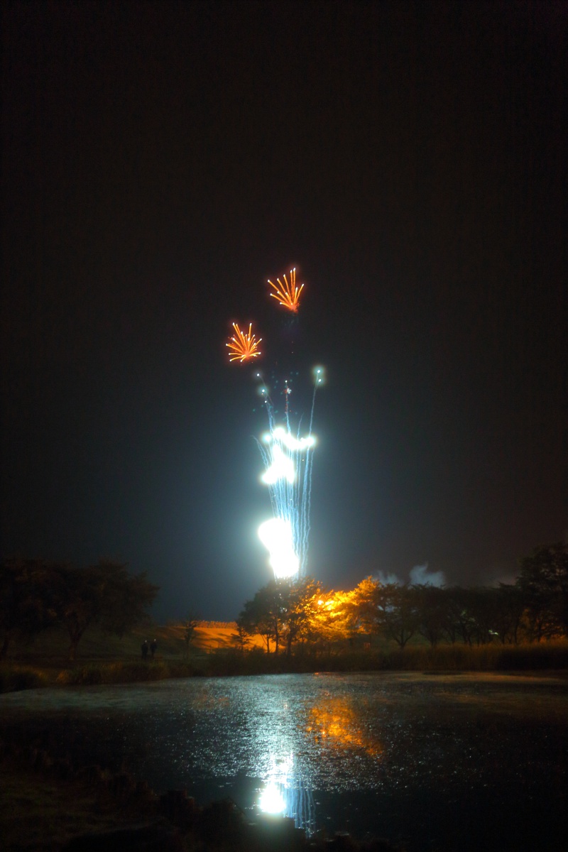 a0155104_15142466.jpg