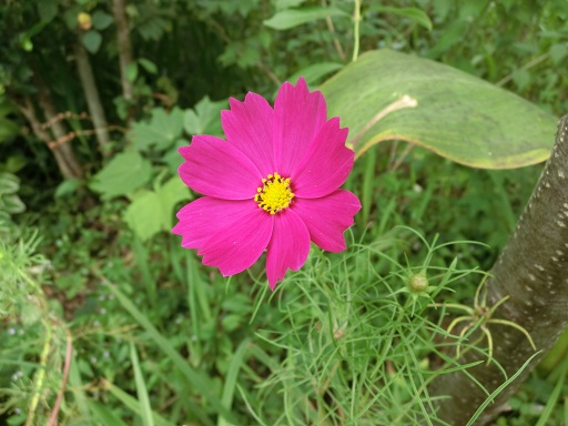 c0156104_22295359.jpg