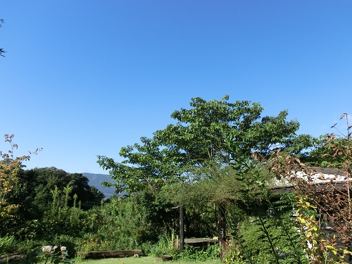 c0156104_22302911.jpg