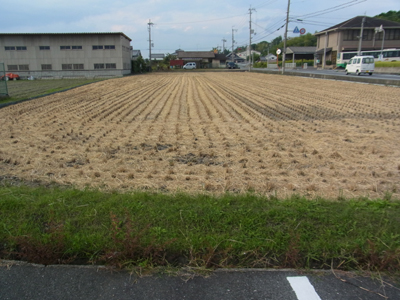 f0178806_8505566.jpg