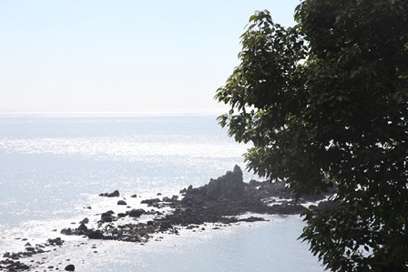 c0041207_1084426.jpg
