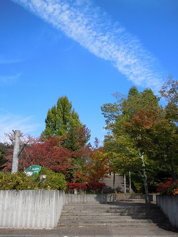 c0117007_22161199.jpg