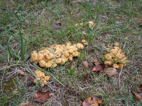 c0117007_2222932.jpg