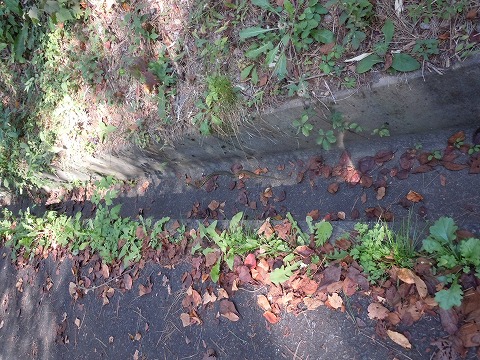 c0117007_22531356.jpg