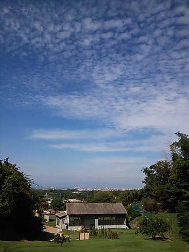 a0268708_13303620.jpg