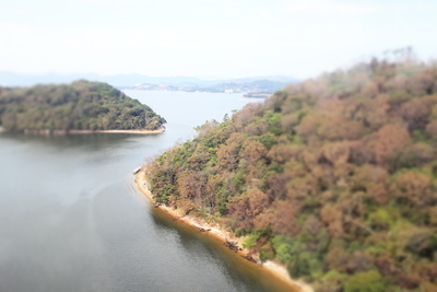 b0120108_23271020.jpg