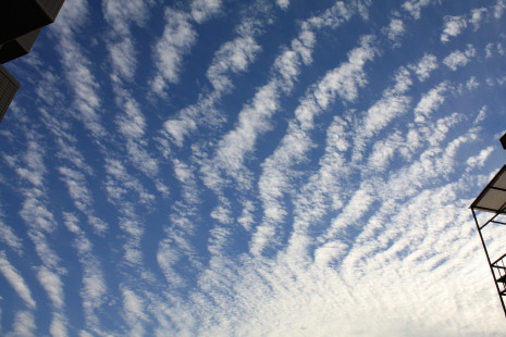 b0129008_17203529.jpg