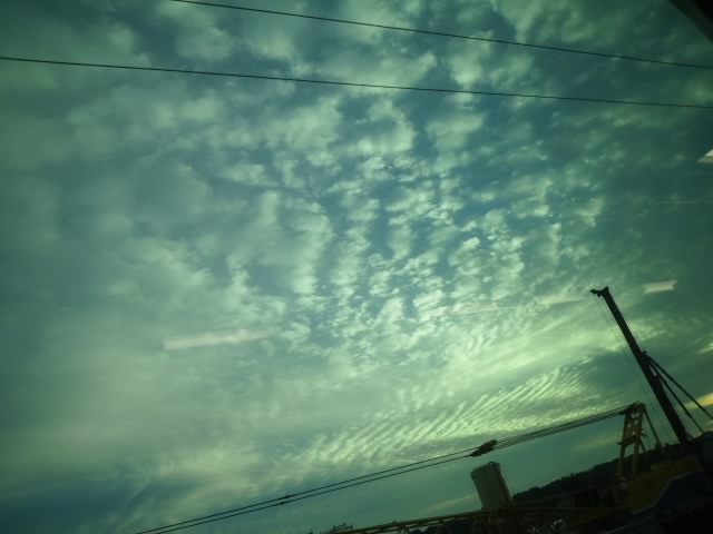 f0155808_1642511.jpg