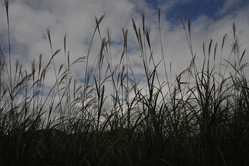 a0278809_9283040.jpg