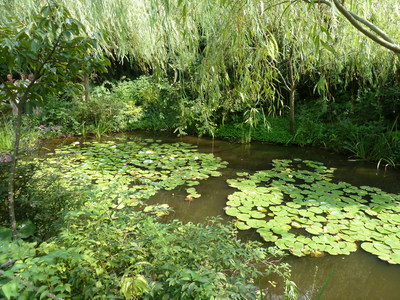 d0059811_0242949.jpg