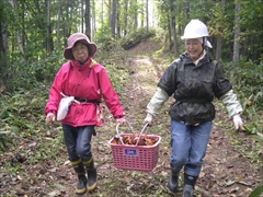平成24年10月13日(土) 田嶋山林 天候:晴れ(時々小雨)参加人数:13名_c0173813_23292663.jpg