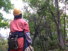 平成24年10月13日(土) 田嶋山林 天候:晴れ(時々小雨)参加人数:13名_c0173813_23365732.jpg