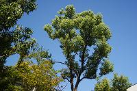e0263019_1363510.jpg