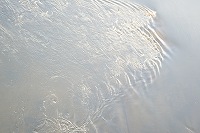 e0263019_1383163.jpg