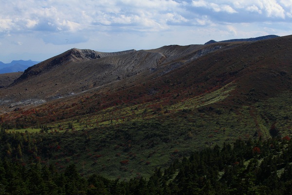e0242721_724085.jpg