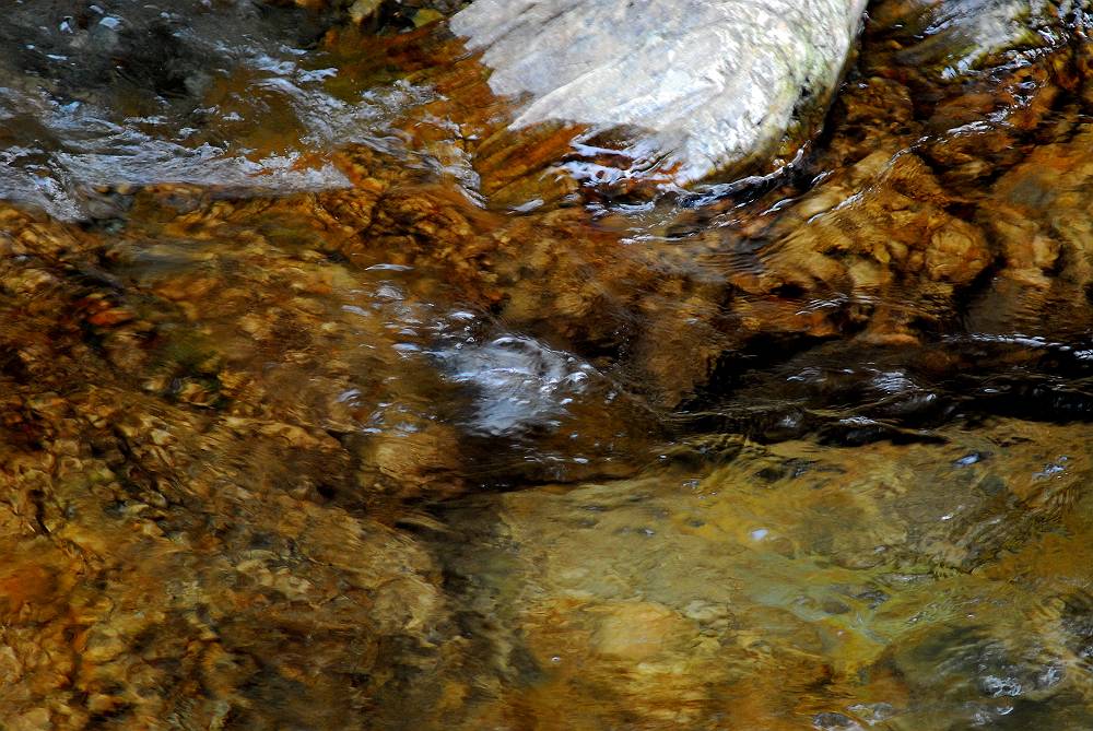 f0181821_903218.jpg