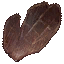 b0004722_11465587.png