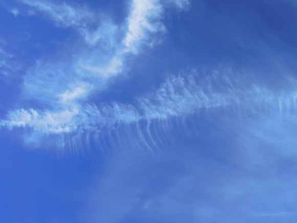e0242423_1821597.jpg