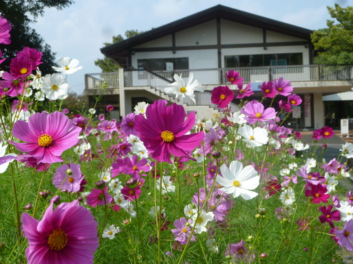 デイケアの書＆植物園見物_e0012724_1575048.jpg