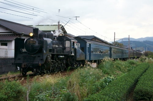 d0223231_1541818.jpg