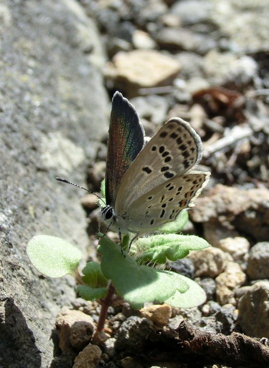 a0126632_20525527.jpg