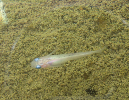 e0097534_1855715.jpg