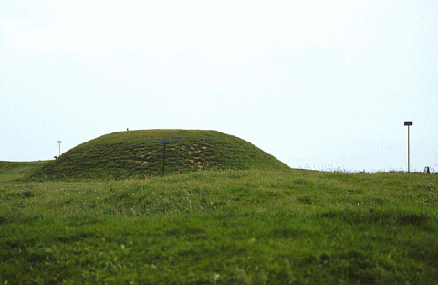 b0213435_23243390.gif