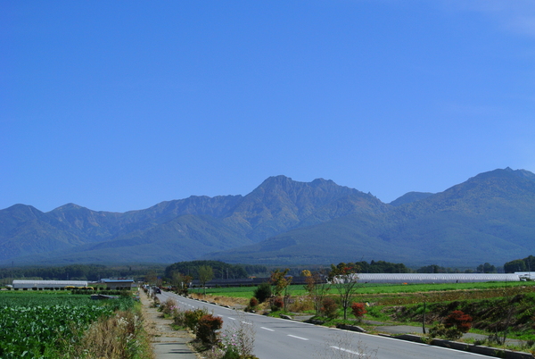 d0170835_17252925.jpg