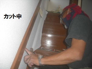 f0031037_2050085.jpg