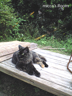 b0245038_1405233.jpg