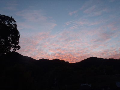 a0054240_21395257.jpg