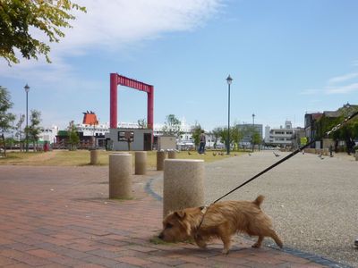 かんたん公園から田ノ浦往復 志きし餅 リオラが行く