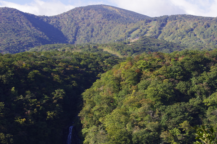 d0237340_125335.jpg