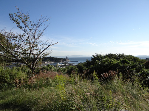 ヤクシマルリシジミ他今朝の南知多町_d0254540_1627291.jpg